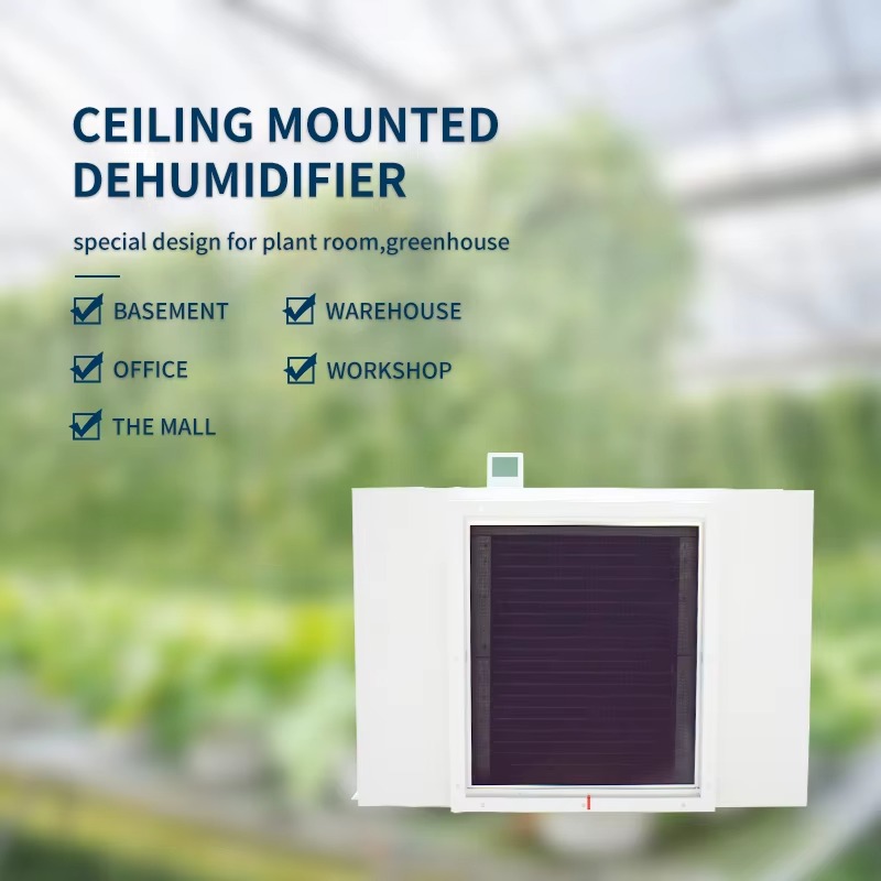 Large 480L Air Dehumidifier fo - Air Compressor review and price